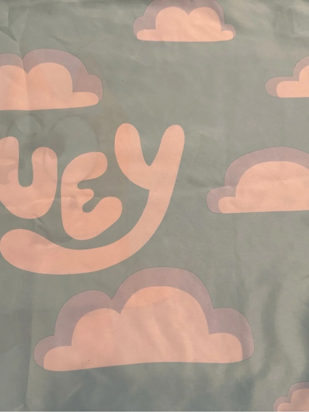 Bluey One Standard Size  Pillowcase Bluey Bingo Multicolor